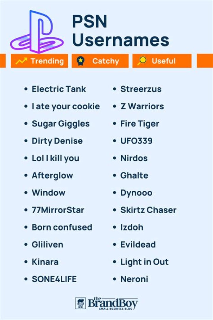 700+ Cool PSN Usernames Ideas With Generator BrandBoy