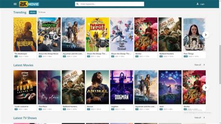 BFlix Review A Complete Guide and its Alternatives