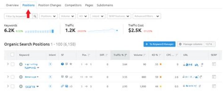 Check Google position Delante CO Medium