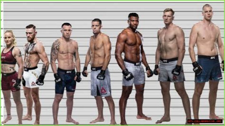 Conor Mcgregor Height Image to u