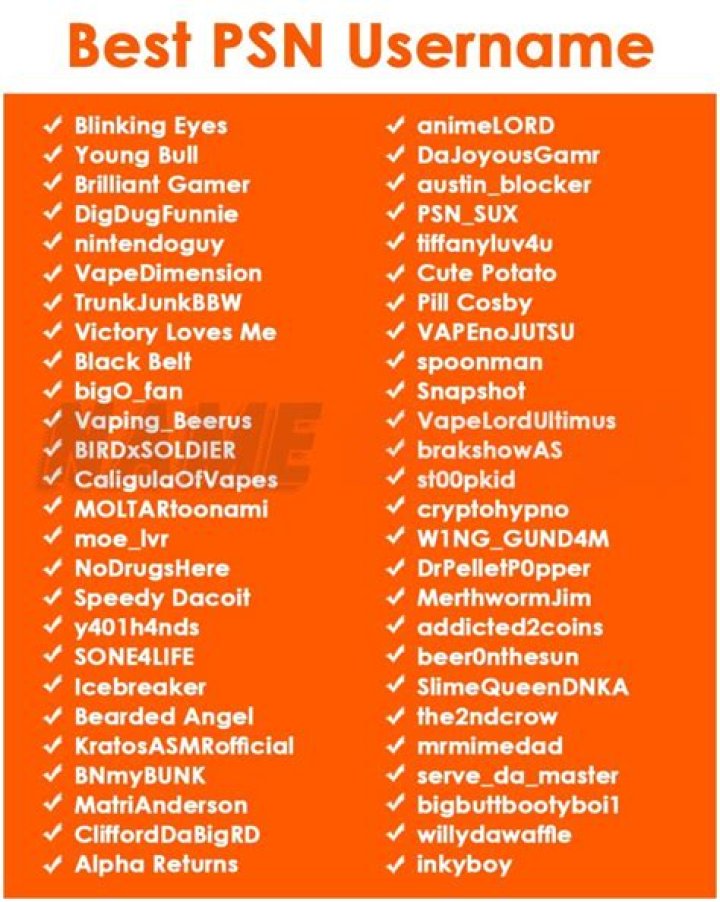 Cool PS4 Name 500+ Funny, Best, Good, Creative, Cool PS4 Usernames for