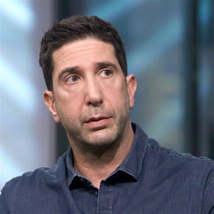 David Schwimmer Victorious David Schwimmer Pictures 7th Annual