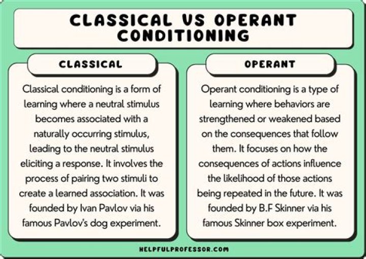 Differences Between Classical vs. Operant Conditioning