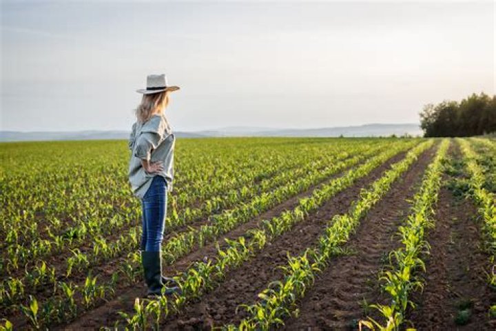 Farmer's net worth 2022, age, wife, career, house, profiles