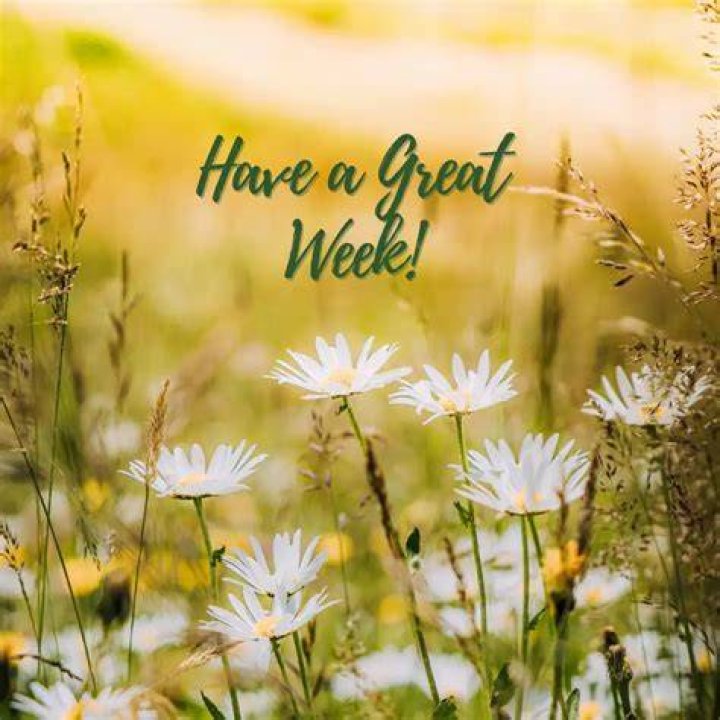 Have a great week ahead!