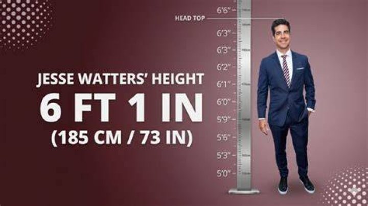 How Tall Is Jesse Watters Skinny Ninja Mom