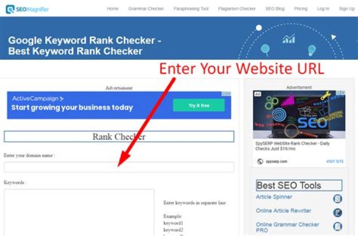 How To Check Google Keyword Ranking? Best Rank Tracking Software&rsquo;s