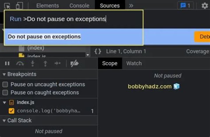 Paused in debugger in Chrome issue [Solved] bobbyhadz