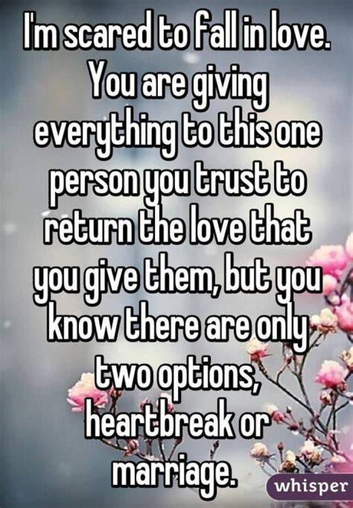 Scared To Fall In Love Quotes. QuotesGram