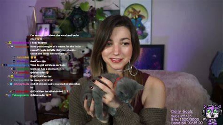 SeeCatPlay / SeeCatWander / itsmecat leaked nude photo from OnlyFans