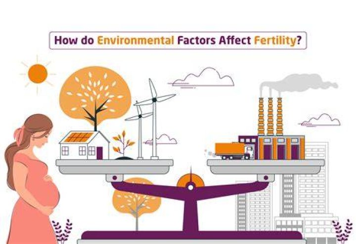 The Factors That Affect the Average Relationship Length Priscilla Milan