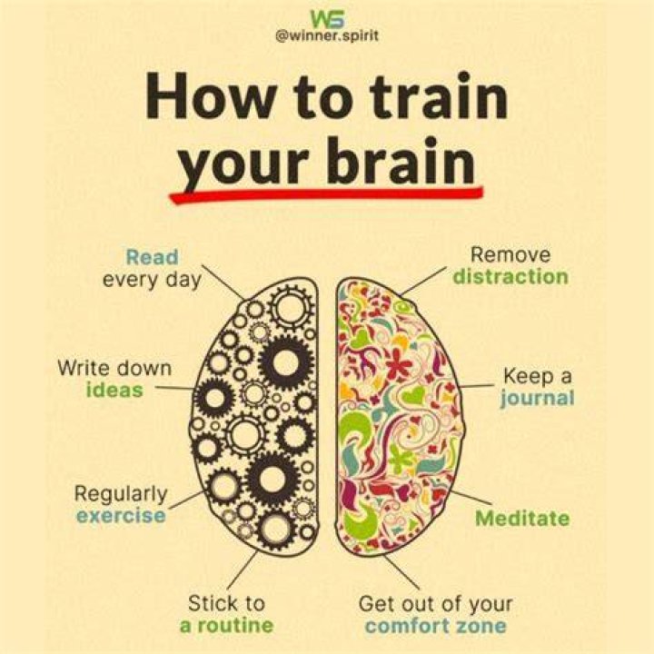 Train Your Brain Advantage Quest Publications
