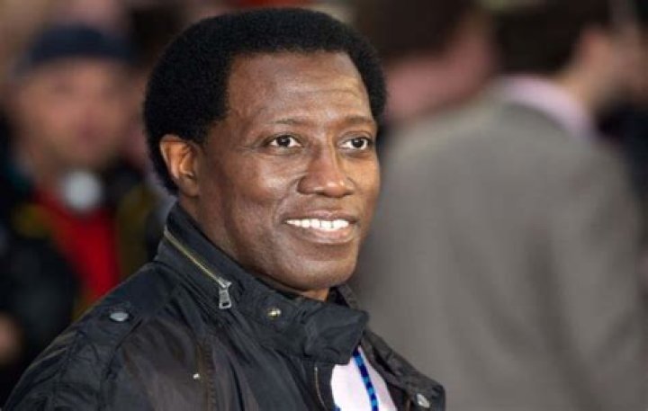 Wesley Snipes Net Worth, Age, Biography, Married, Famous For And Career